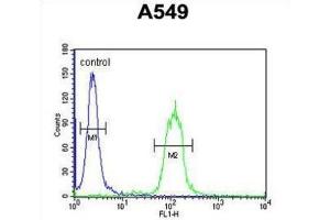 Flow Cytometry (FACS) image for anti-Clusterin (CLU) antibody (ABIN2995931)