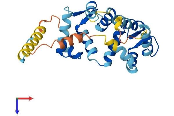 KCNIP1 Protein (AA 1-227) (His tag)