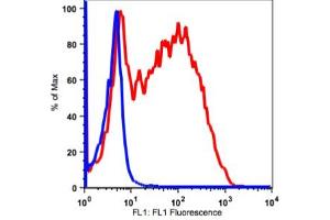 Image no. 2 for anti-Interleukin 2 Receptor, alpha (IL2RA) antibody (ABIN2704225) (CD25 Antikörper)