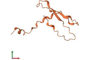 AlphaFold protein structure predicition of Mouse Recombinant Sprr2a3 Protein, UniprotID Q4KL71