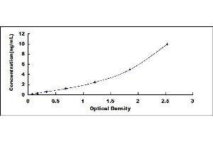 Typical standard curve (RORC ELISA Kit)