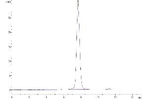 The purity of Mouse IGFBP-3R is greater than 95 % as determined by SEC-HPLC.