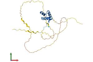 Protein Structure (PS) image for Mesenchyme Homeobox 1 (MEOX1) (AA 1-253) protein (His tag) (ABIN7563135)