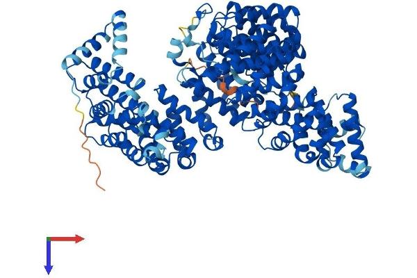 Transportin 1 Protein (TNPO1) (AA 1-898) (His tag)