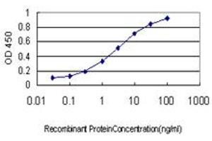 Detection limit for recombinant GST tagged IL1F9 is approximately 0. (IL1F9 Antikörper  (AA 1-110))