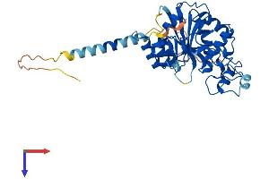 B3GNT4 Protein (AA 1-378) (His tag)