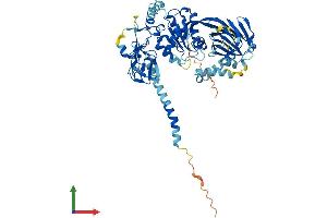 Protein Structure (PS) image for Diacylglycerol Kinase, epsilon 64kDa (DGKE) (AA 1-564) protein (His tag) (ABIN7556213)