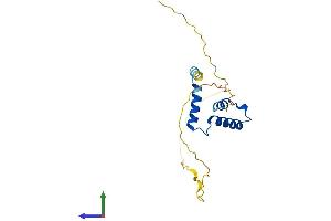 Protein Structure (PS) image for SCAN Domain Containing 1 (SCAND1) (AA 1-179) protein (His tag) (ABIN7551699)