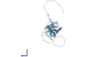 Protein Structure (PS) image for G Protein-Coupled Receptor 101 (GPR101) (AA 1-511) protein (His tag) (ABIN7558314)