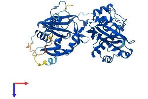 Fukutin Protein (FKTN) (AA 1-461) (His tag)