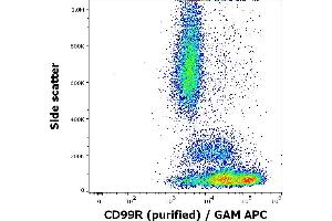 Flow cytometry surface staining pattern of human peripheral whole blood stained using anti-human CD99R (MEM-131) purified antibody (concentration in sample 0,6 μg/mL, GAM APC). (CD99 Antikörper)