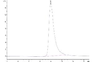 Size-exclusion chromatography-High Pressure Liquid Chromatography (SEC-HPLC) image for Natural Cytotoxicity Triggering Receptor 3 (NCR3) (AA 19-138) protein (His-Avi Tag,Biotin) (ABIN7275354)