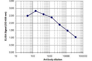 ELISA was performed using a serial dilution of MBD4 polyclonal antibody  in antigen coated wells. (MBD4 Antikörper)