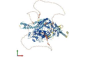 Protein Structure (PS) image for MutS Homolog 6 (E. Coli) (MSH6) (AA 1-1360) protein (His tag) (ABIN7554632)