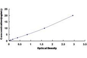 CHRNA3 ELISA Kit