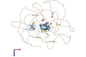 TOPORS Protein (AA 1-1033) (His tag)