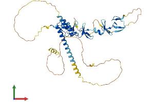 Protein Structure (PS) image for LIM Homeobox Transcription Factor 1, beta (LMX1B) (AA 1-402) protein (His tag) (ABIN7549066)