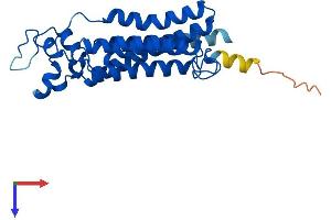 PPAPDC1B Protein (AA 1-264) (His tag)