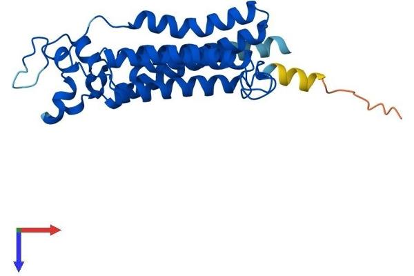 PPAPDC1B Protein (AA 1-264) (His tag)