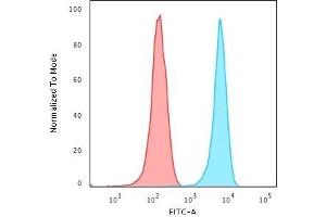 Flow Cytometric Analysis of Jurkat cells using CD3e Mouse Monoclonal Antibody (RIV9) followed by Goat anti-Mouse IgG-CF488 (Blue); Isotype Control (Red). (CD3 epsilon Antikörper)