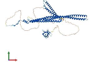 AlphaFold protein structure predicition of Mouse Recombinant Trip10 Protein, UniprotID Q8CJ53