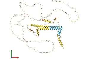 Protein Structure (PS) image for Reticulon 2 (RTN2) (AA 1-545) protein (His tag) (ABIN7545867)