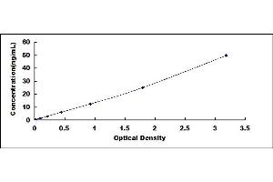 Typical standard curve (PARP1 ELISA Kit)