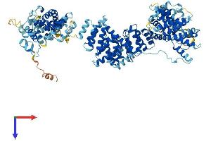 AlphaFold protein structure predicition of Mouse Recombinant Ints8 Protein, UniprotID Q80V86