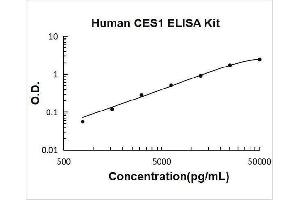 Typical Standard Curve