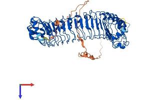 SHoc2/Sur8 Protein (AA 1-582) (His tag)