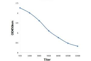 ELISA image for anti-Aralkylamine N-Acetyltransferase (AANAT) (AA 141-207) antibody (ABIN751063)