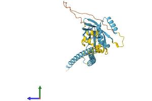 Protein Structure (PS) image for Eukaryotic Translation Initiation Factor 3 Subunit H (EIF3H) (AA 1-352) protein (His tag) (ABIN7560042)