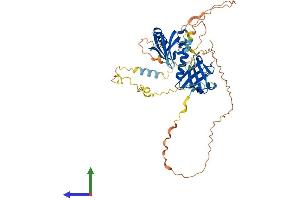 Protein Structure (PS) image for Docking Protein 1, 62kDa (Downstream of tyrosine Kinase 1) (DOK1) (AA 1-481) protein (His tag) (ABIN7547187)
