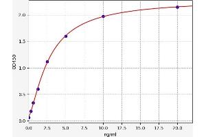 SDC4 ELISA Kit