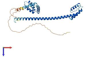 HMG20B Protein (AA 1-317) (His tag)