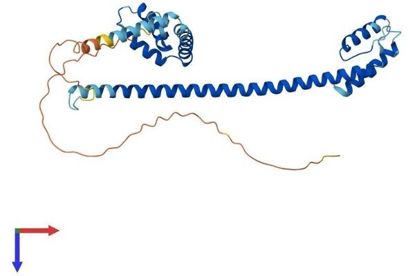 HMG20B Protein (AA 1-317) (His tag)