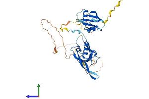 Protein Structure (PS) image for Par-6 Partitioning Defective 6 Homolog alpha (PARD6A) (AA 1-346) protein (His tag) (ABIN7550444)