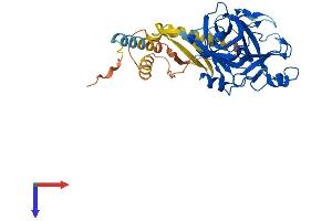 TMPRSS11A Protein (AA 1-389) (His tag)