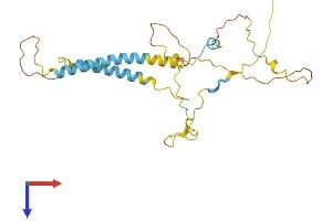 TMEM51 Protein (AA 1-249) (His tag)