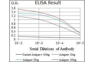 Red: Control Antigen (100 ng), Purple: Antigen (10 ng), Green: Antigen (50 ng), Blue: Antigen (100 ng), (PPP2CB Antikörper)