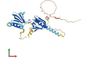 AlphaFold protein structure predicition of Mouse Recombinant Dok4 Protein, UniprotID Q99KE3