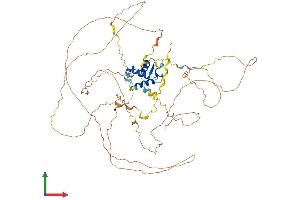 Protein Structure (PS) image for Forkhead Box O3 (FOXO3) (AA 1-673) protein (His tag) (ABIN7553979)