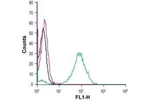 Cell surface detection of GPR55 in live intact human THP-1 monocytic leukemia cells: (black line) Cells. (GPR55 Antikörper  (Extracellular))