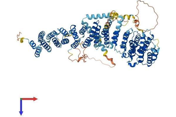 EFR3A Protein (AA 1-821) (His tag)