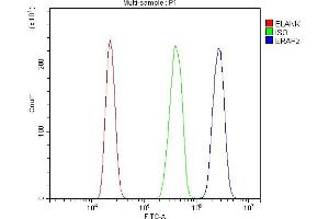 Flow Cytometry analysis of HL-60 cells using anti-ERAP2 antibody (ABIN7599949). (ERAP2 Antikörper  (AA 13-960))
