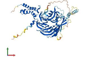 Protein Structure (PS) image for F-Box and WD Repeat Domain Containing 5 (FBXW5) (AA 1-566) protein (His tag) (ABIN7553893)