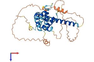 BCL2L14 Protein (AA 1-328) (His tag)