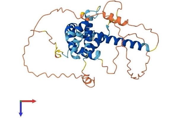 BCL2L14 Protein (AA 1-328) (His tag)