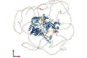 Protein Structure (PS) image for Bloom Syndrome RecQ Like Helicase (BLM) (AA 1-1416) protein (His tag) (ABIN7562651)