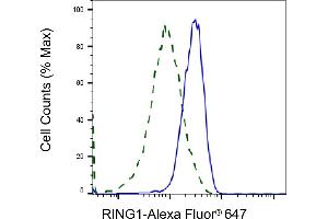 Validation of RING1 knockdown using flow cytometry.